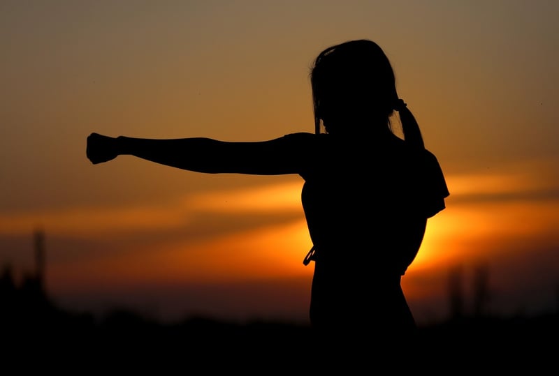 Martial Arts Applications